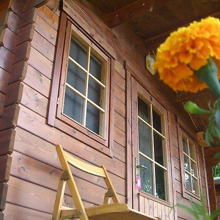 Onur Motel Faralya Fethıye Dış mekan fotoğraf
